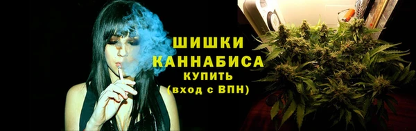 прущие грибы Верхнеуральск