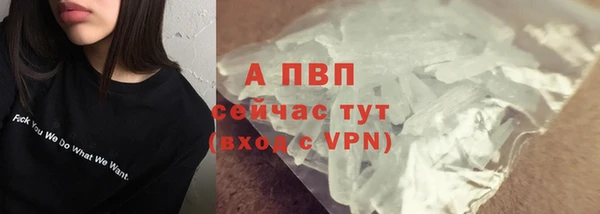 прущие грибы Верхнеуральск
