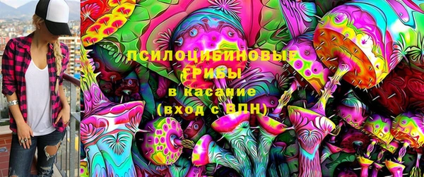 герыч Верхний Тагил