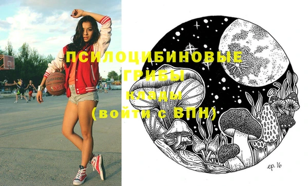 прущий лед Бородино